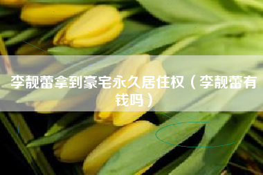 李靓蕾拿到豪宅永久居住权（李靓蕾有钱吗）