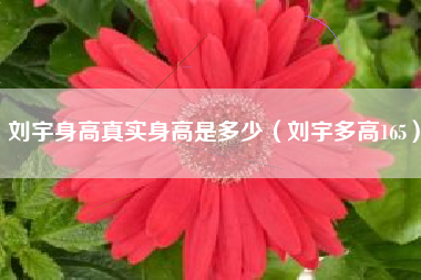 刘宇身高真实身高是多少（刘宇多高165）