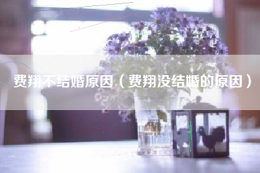 费翔不结婚原因（费翔没结婚的原因）