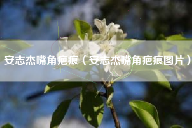 安志杰嘴角疤痕（安志杰嘴角疤痕图片）