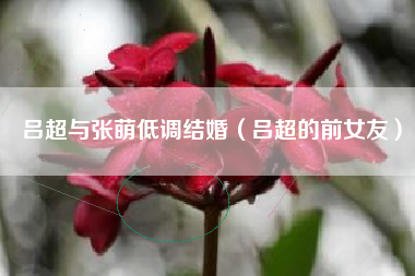 吕超与张萌低调结婚（吕超的前女友）
