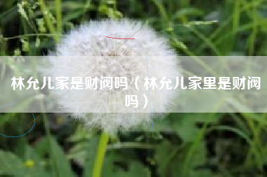 林允儿家是财阀吗（林允儿家里是财阀吗）