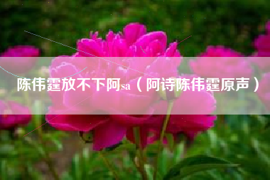 陈伟霆放不下阿sa（阿诗陈伟霆原声）