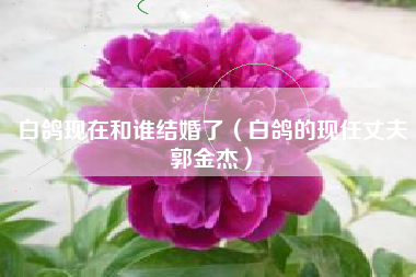 白鸽现在和谁结婚了（白鸽的现任丈夫郭金杰）