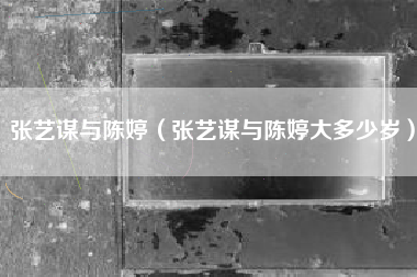 张艺谋与陈婷（张艺谋与陈婷大多少岁）