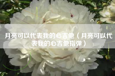 月亮可以代表我的心吉他（月亮可以代表我的心吉他指弹）