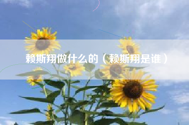 赖斯翔做什么的（赖斯翔是谁）