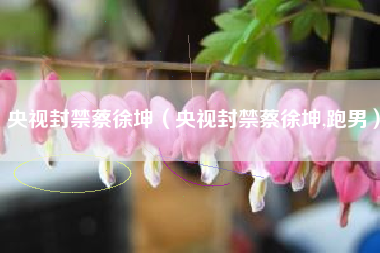 央视封禁蔡徐坤（央视封禁蔡徐坤,跑男）