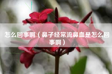 怎么回事啊（鼻子经常流鼻血是怎么回事啊）