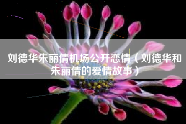 刘德华朱丽倩机场公开恋情（刘德华和朱丽倩的爱情故事）