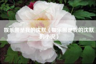 娱乐圈是我的沈默（娱乐圈是我的沈默的小说）