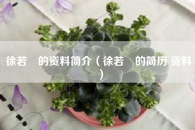 徐若瑄的资料简介（徐若瑄的简历 资料）