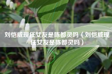 刘恺威现任女友是陈都灵吗（刘恺威现任女友是陈都灵吗）