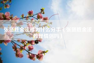 张贤胜金泫雅为什么分手（张贤胜金泫雅是情侣吗）