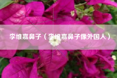 李维嘉鼻子（李维嘉鼻子像外国人）