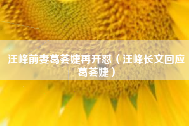 汪峰前妻葛荟婕再开怼（汪峰长文回应葛荟婕）