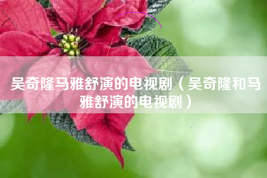 吴奇隆马雅舒演的电视剧（吴奇隆和马雅舒演的电视剧）