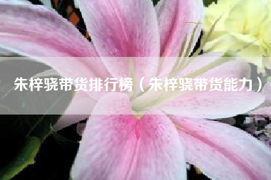 朱梓骁带货排行榜（朱梓骁带货能力）