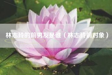 林志玲的前男友是谁（林志玲前对象）