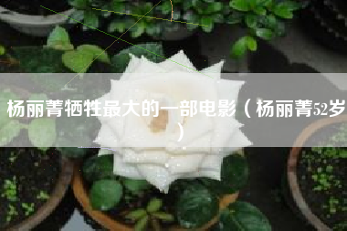 杨丽菁牺牲最大的一部电影（杨丽菁52岁）