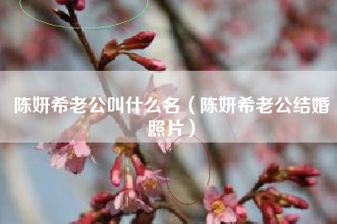 陈妍希老公叫什么名（陈妍希老公结婚照片）