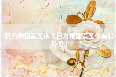 巨力集团黄圣依（巨力集团黄圣依有股份吗）