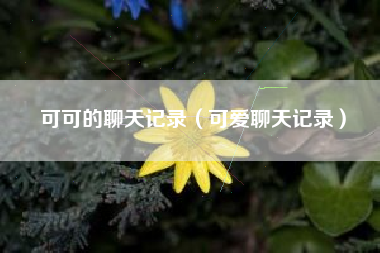 可可的聊天记录（可爱聊天记录）
