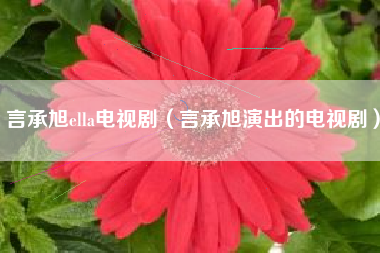 言承旭ella电视剧（言承旭演出的电视剧）
