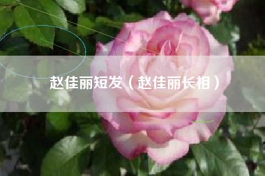 赵佳丽短发（赵佳丽长相）