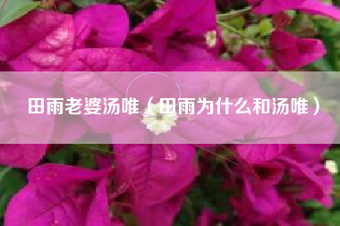 田雨老婆汤唯（田雨为什么和汤唯）