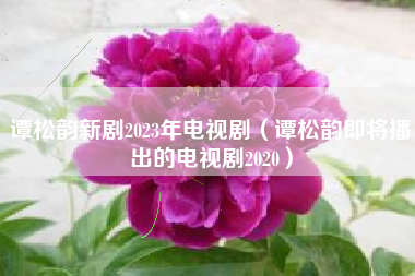 谭松韵新剧2023年电视剧（谭松韵即将播出的电视剧2020）