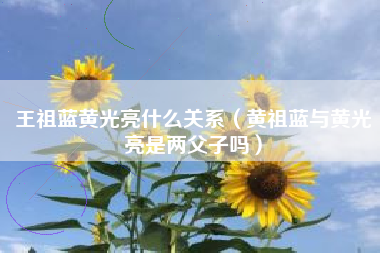 王祖蓝黄光亮什么关系（黄祖蓝与黄光亮是两父子吗）