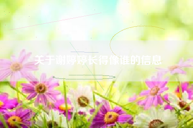 关于谢婷婷长得像谁的信息