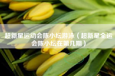 超新星运动会陈小纭游泳（超新星全运会陈小纭在第几期）