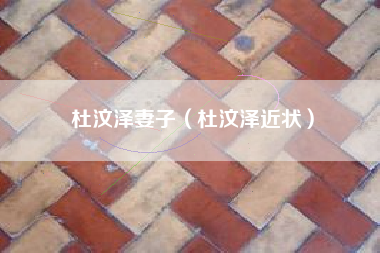 杜汶泽妻子（杜汶泽近状）