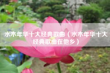 水木年华十大经典歌曲（水木年华十大经典歌曲在他乡）