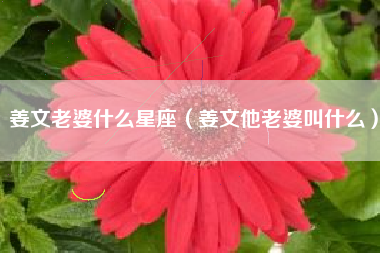 姜文老婆什么星座（姜文他老婆叫什么）