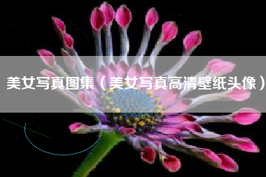 美女写真图集（美女写真高清壁纸头像）