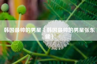 韩国最帅的男星（韩国最帅的男星张东健）