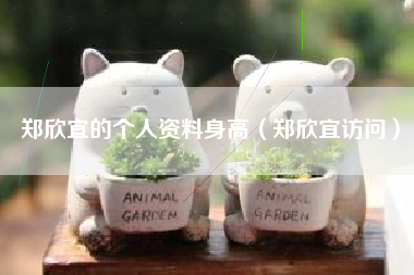 郑欣宜的个人资料身高（郑欣宜访问）