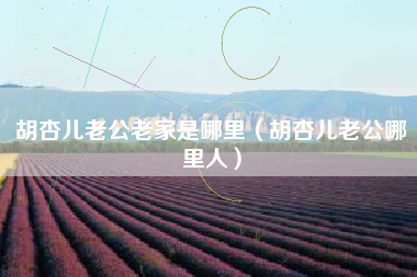 胡杏儿老公老家是哪里（胡杏儿老公哪里人）
