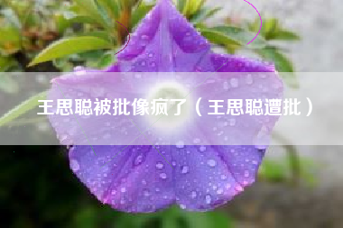 王思聪被批像疯了（王思聪遭批）