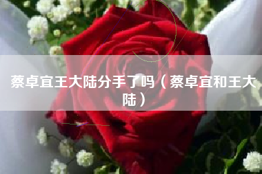 蔡卓宜王大陆分手了吗（蔡卓宜和王大陆）