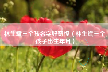 林生斌三个孩名字好奇怪（林生斌三个孩子出生年月）