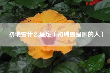 初瑞雪什么星座（初瑞雪是哪的人）