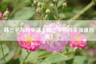 韩三平与向华强（韩三平与向华强谁厉害）