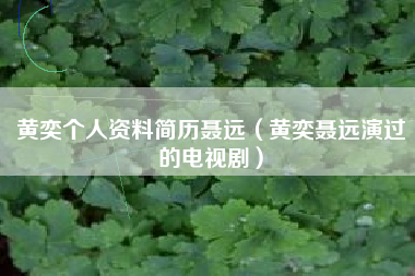 黄奕个人资料简历聂远（黄奕聂远演过的电视剧）