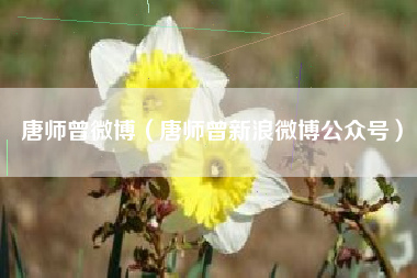 唐师曾微博（唐师曾新浪微博公众号）