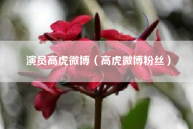 演员高虎微博（高虎微博粉丝）