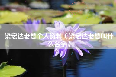 梁宏达老婆个人资料（梁宏达老婆叫什么名字）